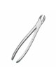 Growing Tooth Forceps (SS)